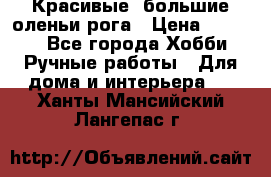 Красивые  большие оленьи рога › Цена ­ 3 000 - Все города Хобби. Ручные работы » Для дома и интерьера   . Ханты-Мансийский,Лангепас г.